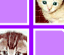 Juegos de lógica - página 56: Memory Cats